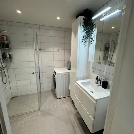 New With High Standard! Trondheim