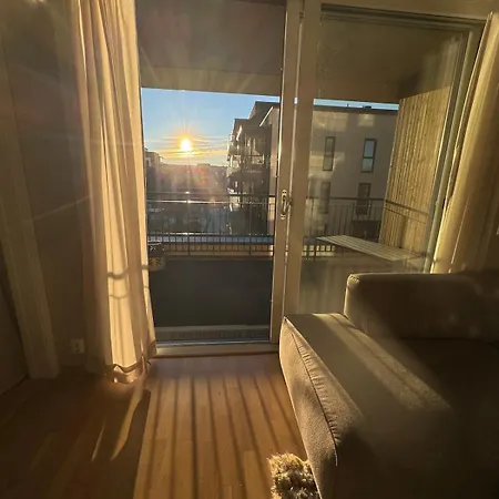 New With High Standard! Apartment